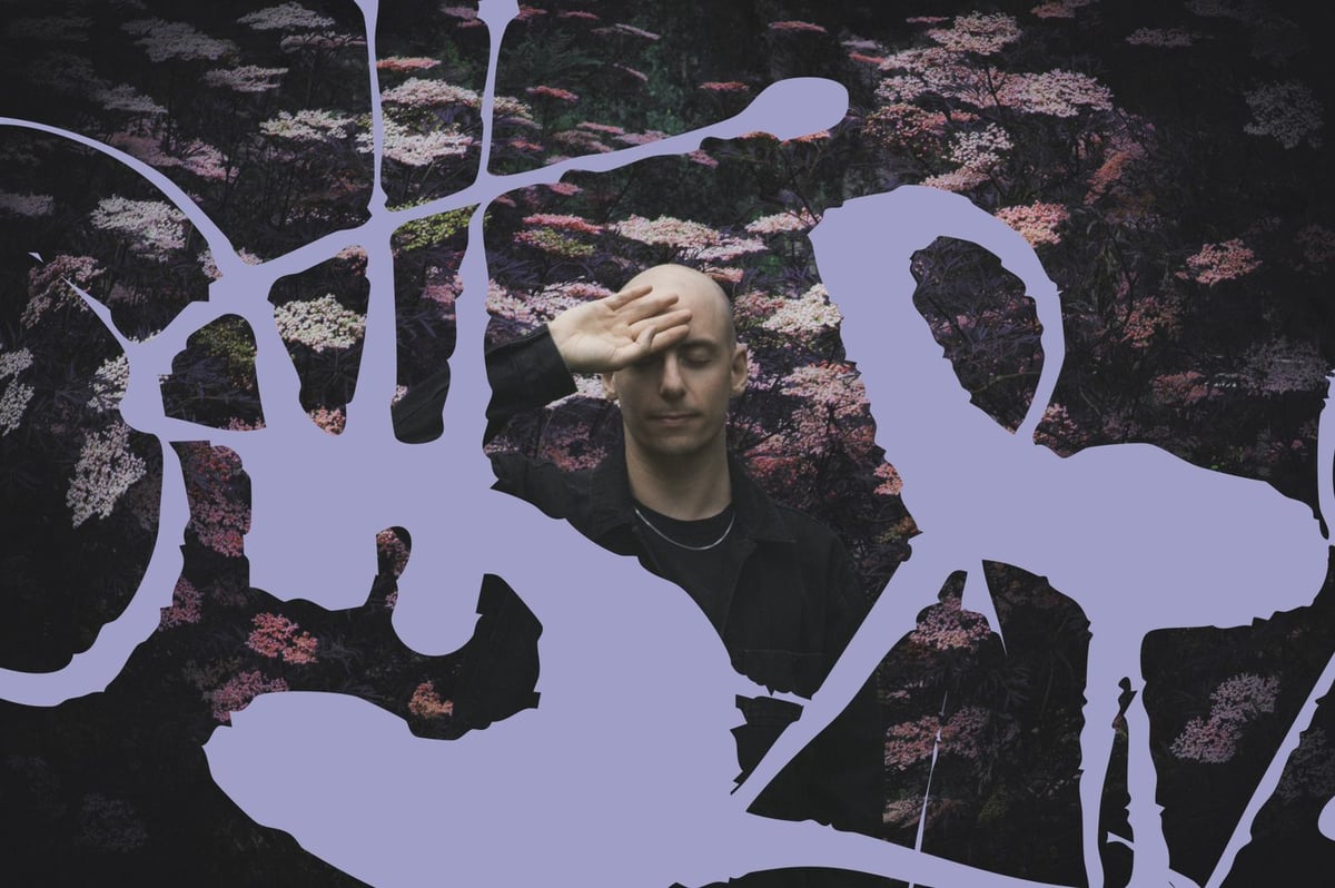 Palms Trax