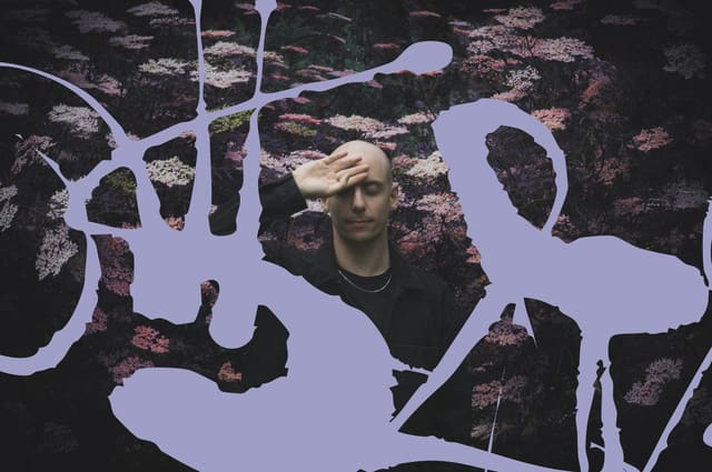 Palms Trax